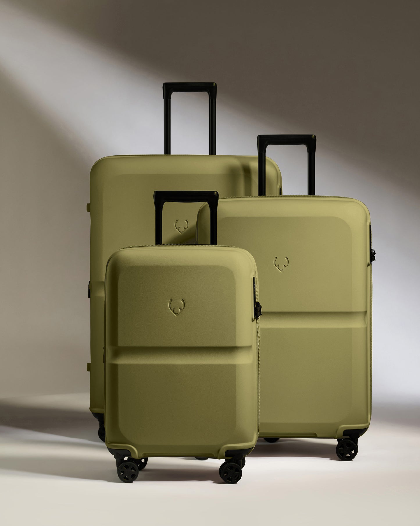 Expandable Carry-on Luggage Set in Reed Green - Single Stripe
