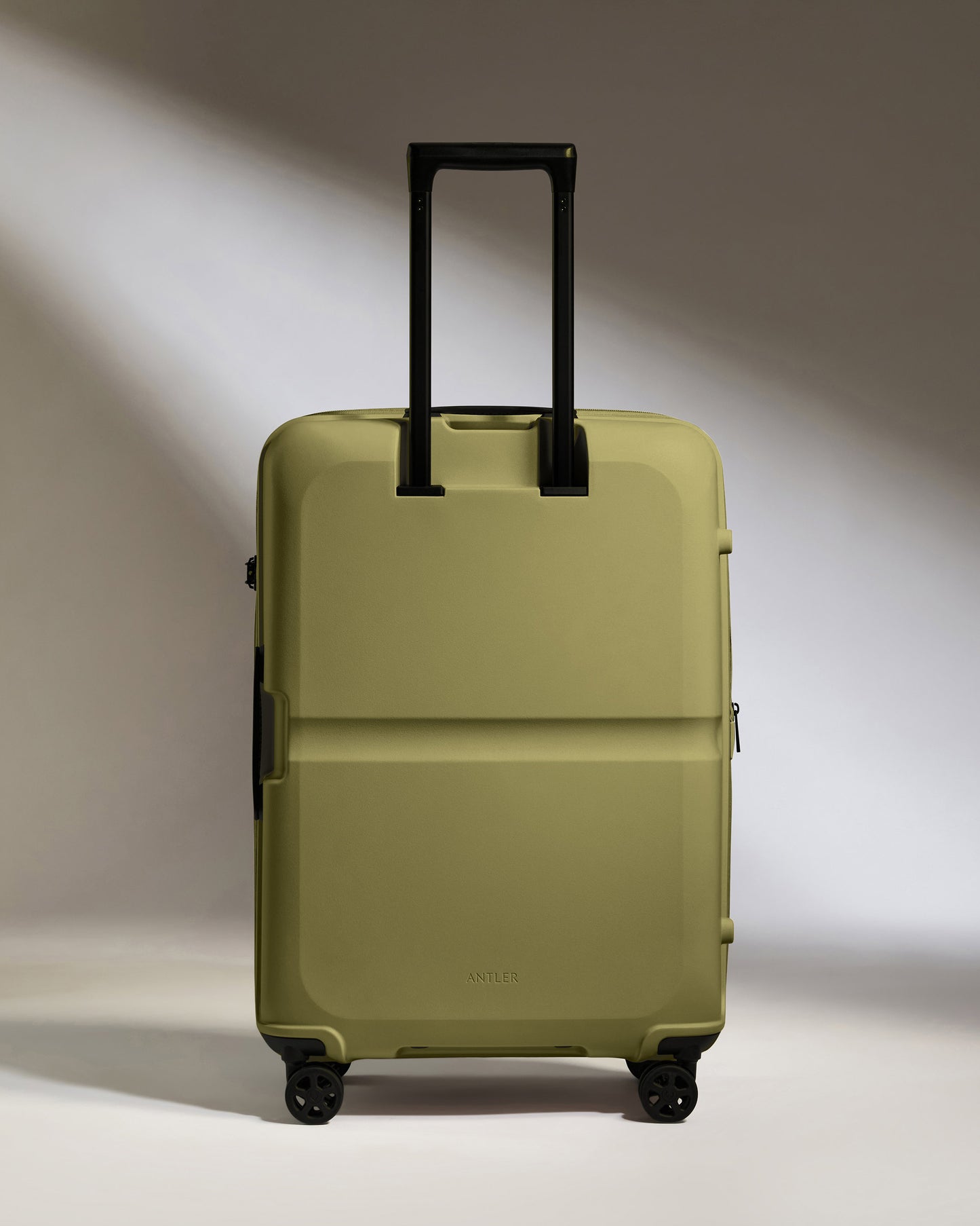 Medium Luggage in Reed Green - Single Stripe
