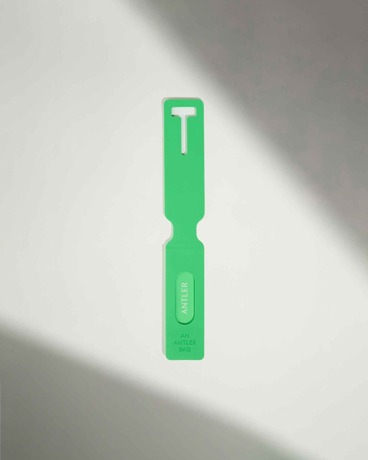 Luggage Tag in Mint