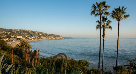 Antler Travels: Laguna Beach, Stephanie Arant
