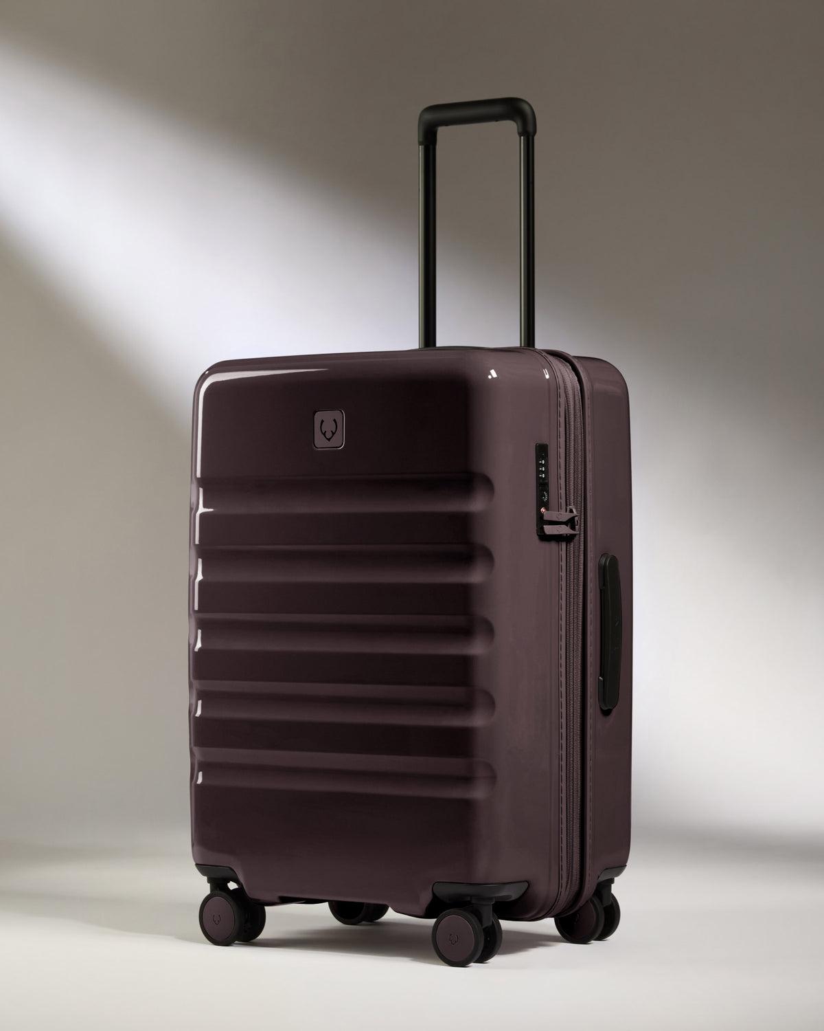 Medium Luggage in Hedgerow Gloss - Icon Stripe