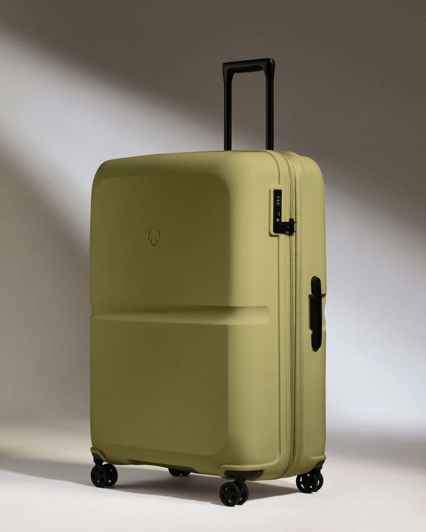 Large Luggage in Reed Green - Single Stripe