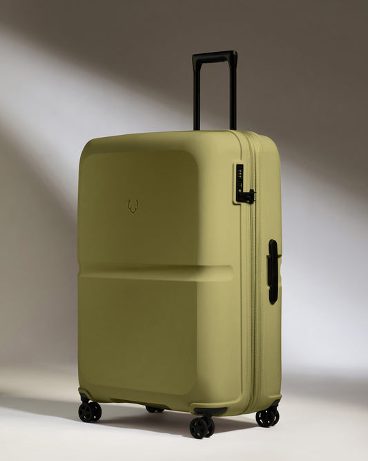 Large Luggage in Reed Green - Single Stripe