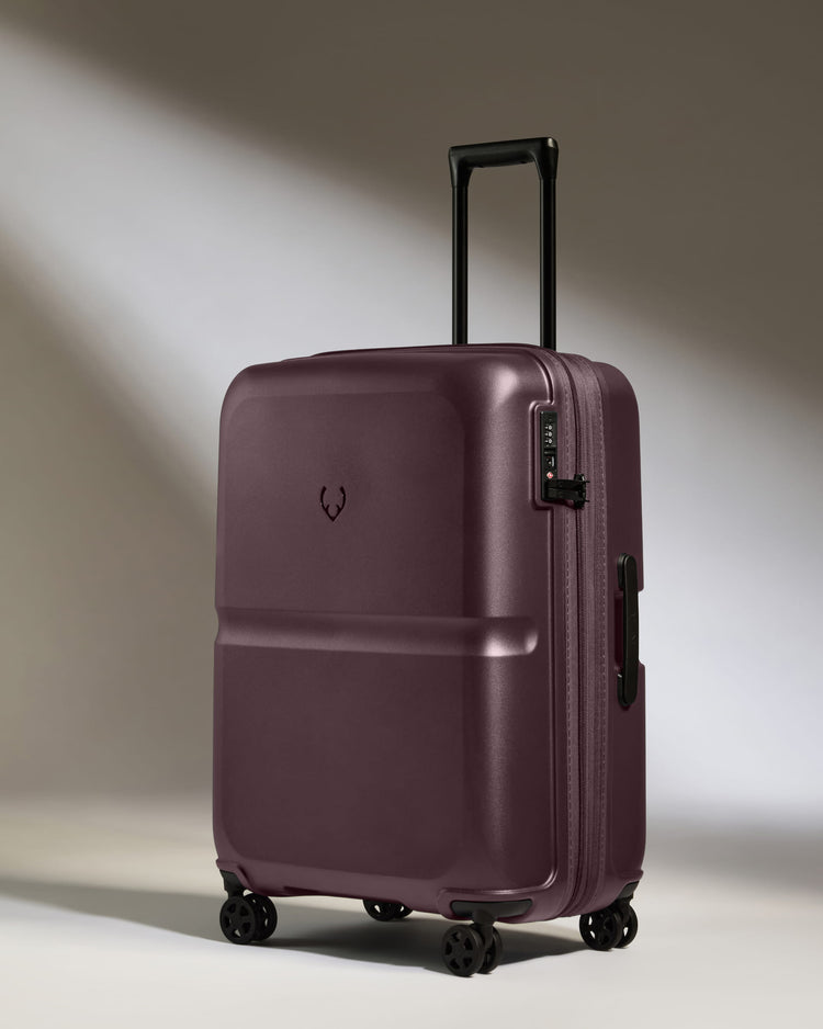 Medium Luggage in Lagoon Purple - Single Stripe