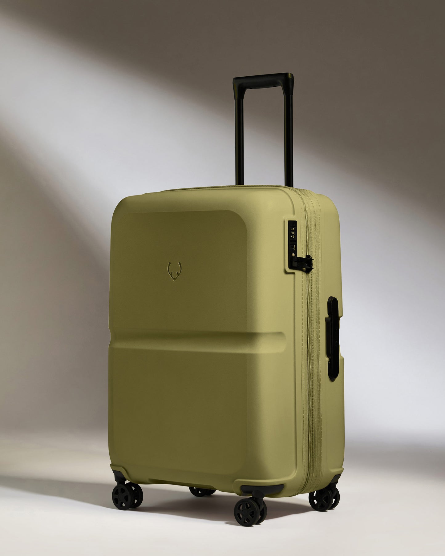 Medium Luggage in Reed Green - Single Stripe