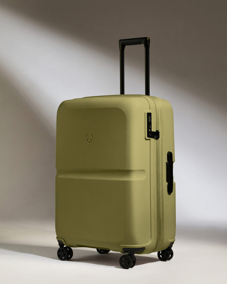 Medium Luggage in Reed Green - Single Stripe