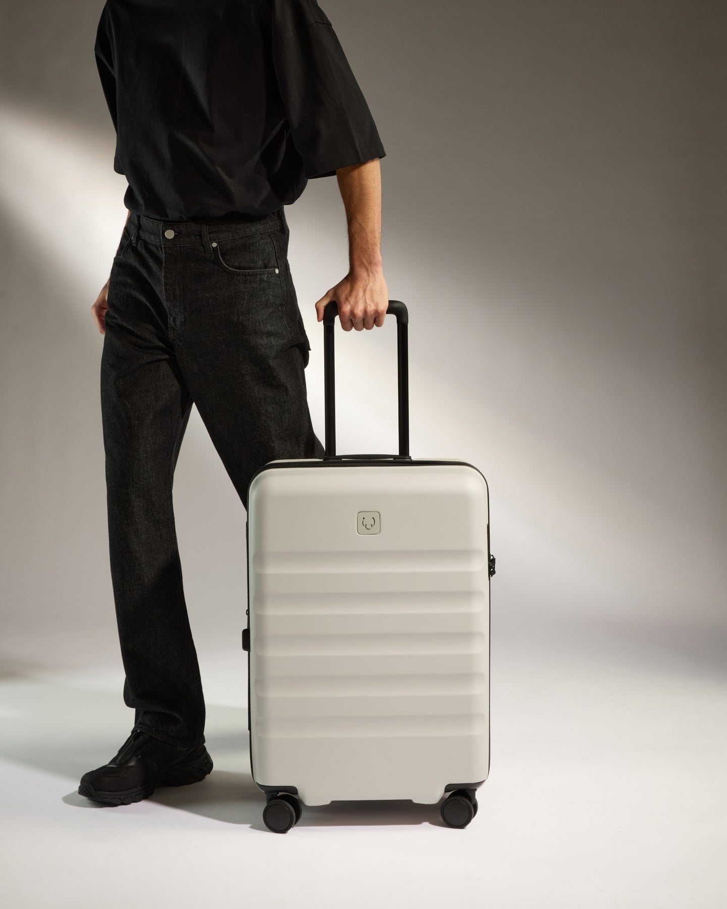 Medium Luggage in Taupe - Icon Stripe