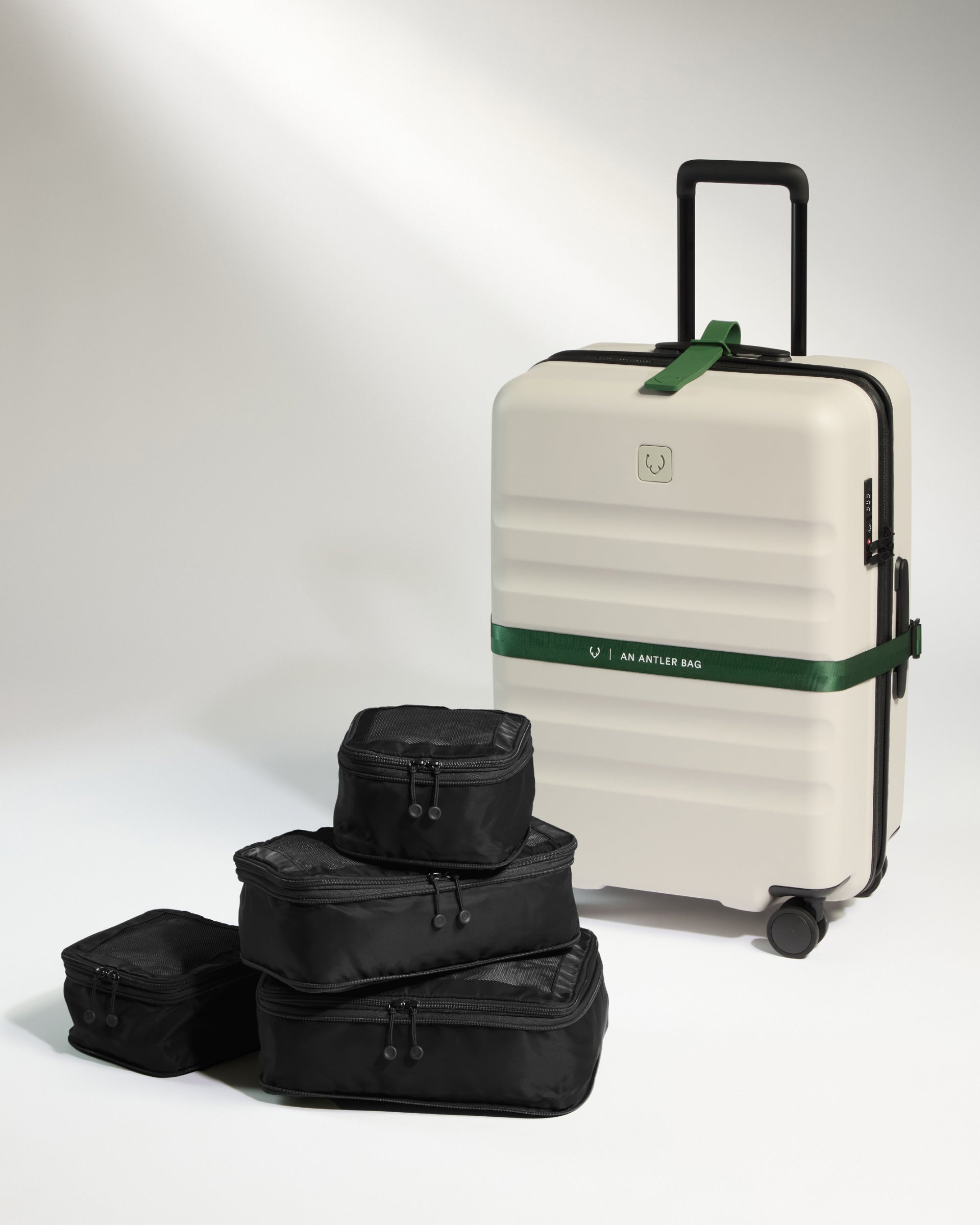 Packing Cubes in Black Set of 4