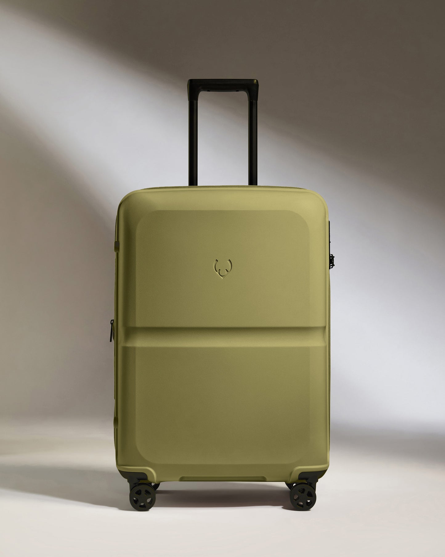Medium Luggage in Reed Green - Single Stripe