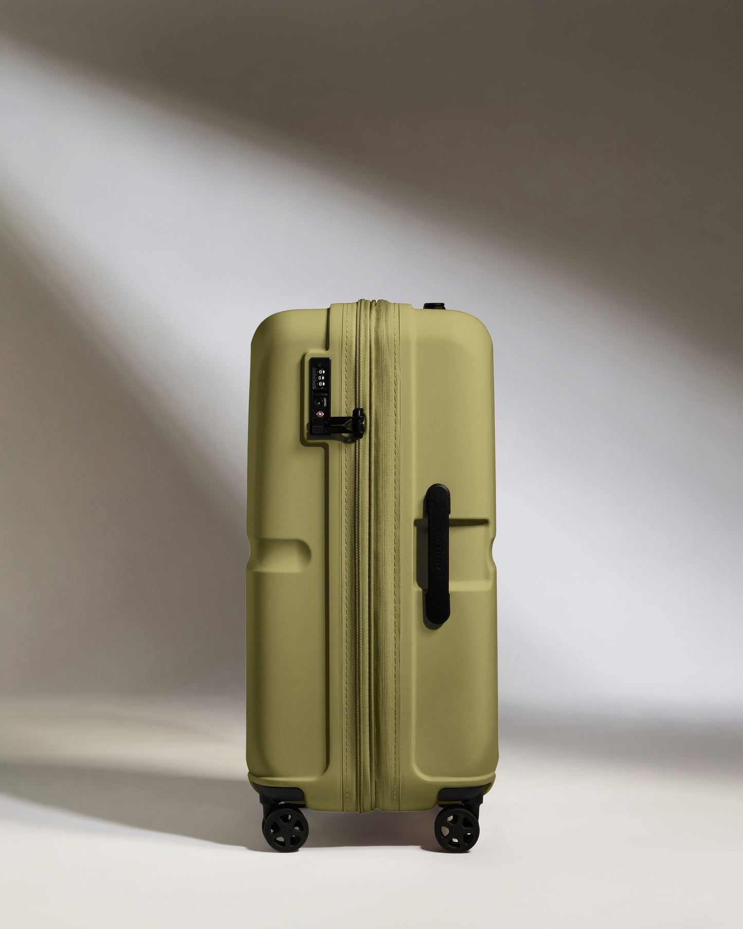 Medium Luggage in Reed Green - Single Stripe