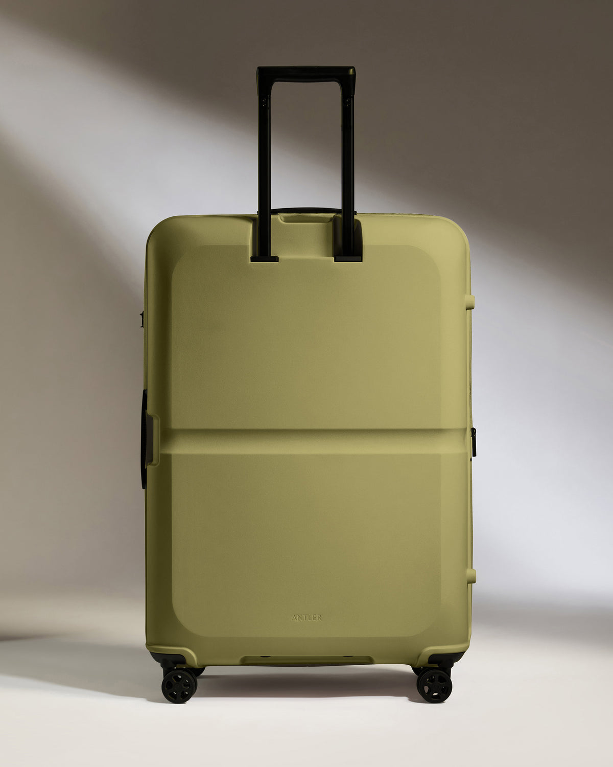 Large Luggage in Reed Green - Single Stripe