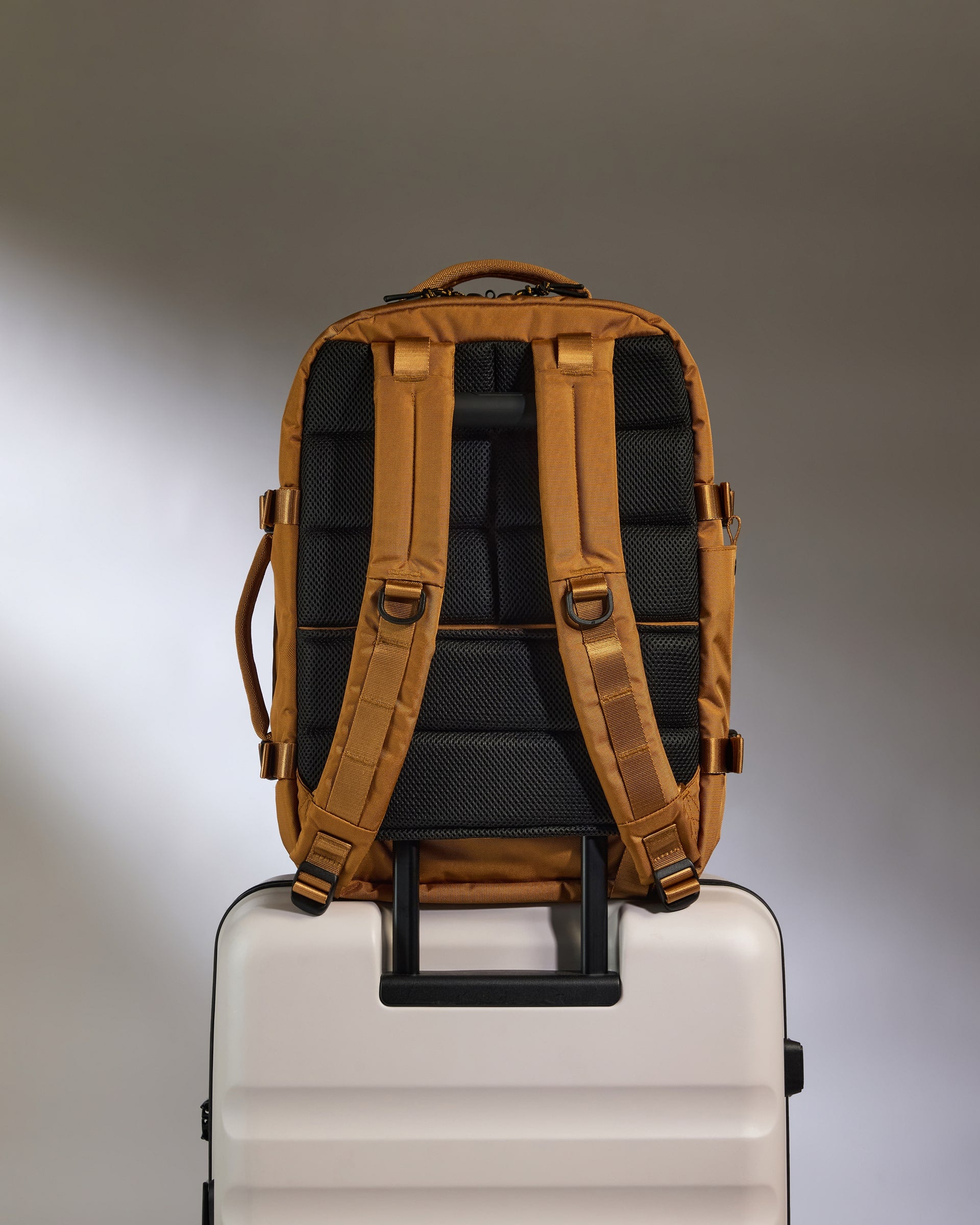 Discovery 28L Backpack in Mustard Yellow