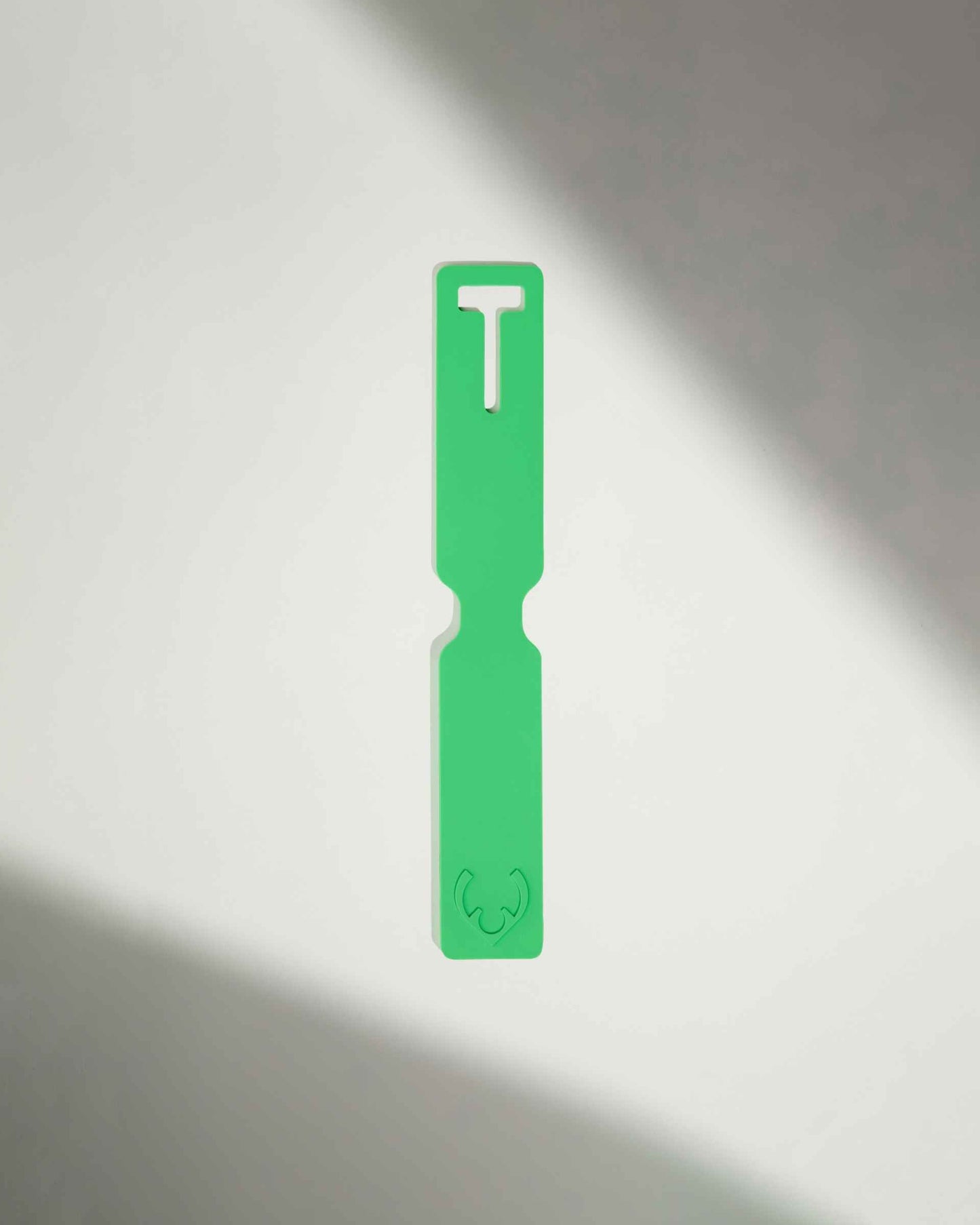 Luggage Tag in Mint