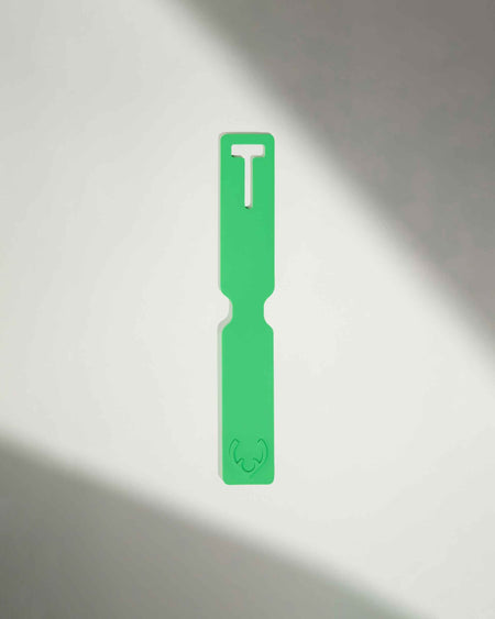 Luggage Tag in Mint